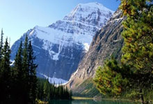 PG电子娱乐在线-猛龙对阵国王，英格拉姆全场最佳无争议